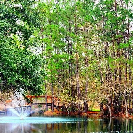 Waterfront Houston Hide Out In A Magical Forest Waller Exteriér fotografie