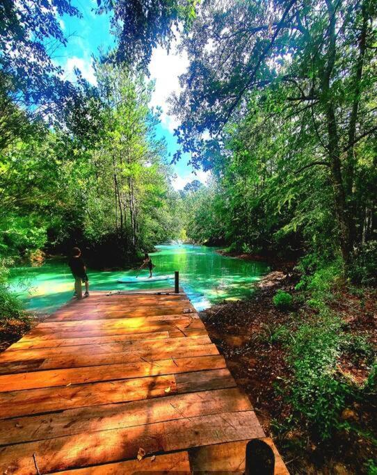 Waterfront Houston Hide Out In A Magical Forest Waller Exteriér fotografie