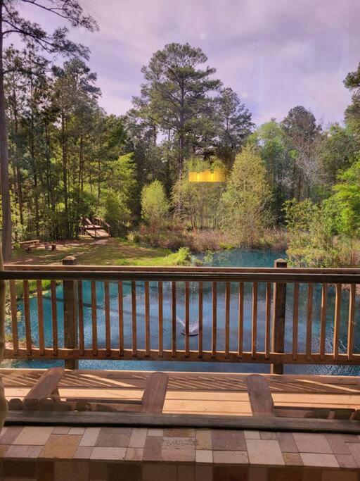 Waterfront Houston Hide Out In A Magical Forest Waller Exteriér fotografie
