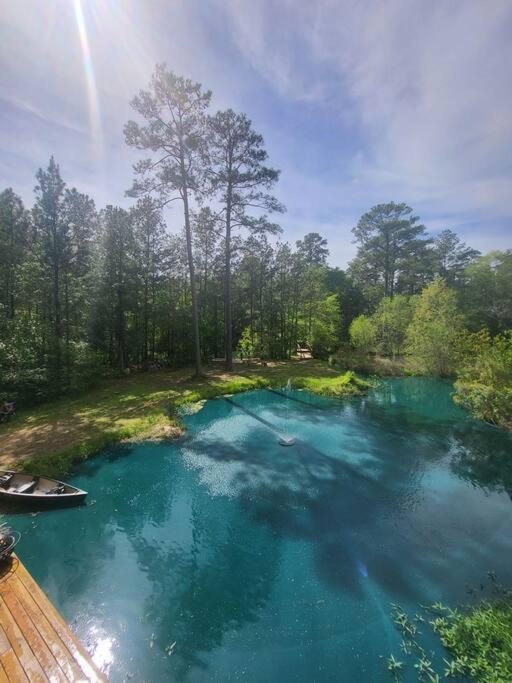 Waterfront Houston Hide Out In A Magical Forest Waller Exteriér fotografie