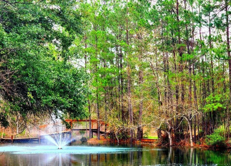 Waterfront Houston Hide Out In A Magical Forest Waller Exteriér fotografie