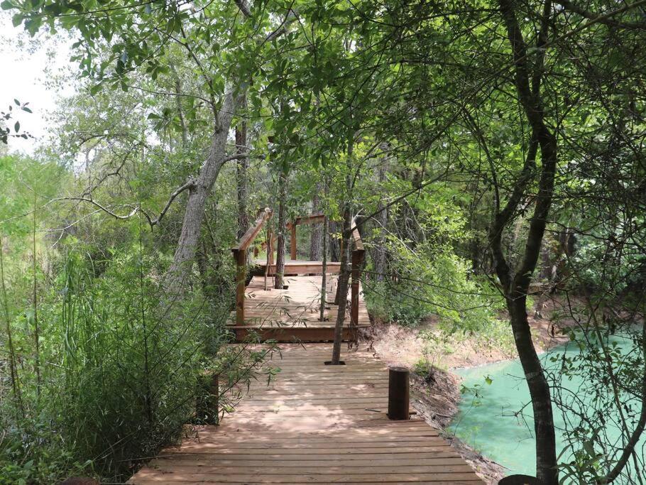 Waterfront Houston Hide Out In A Magical Forest Waller Exteriér fotografie